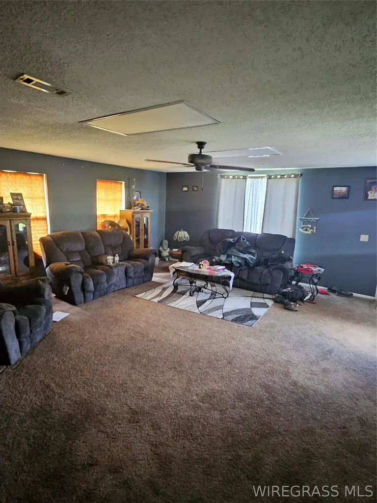 117 Buster Cowan Road Geneva AL 36340