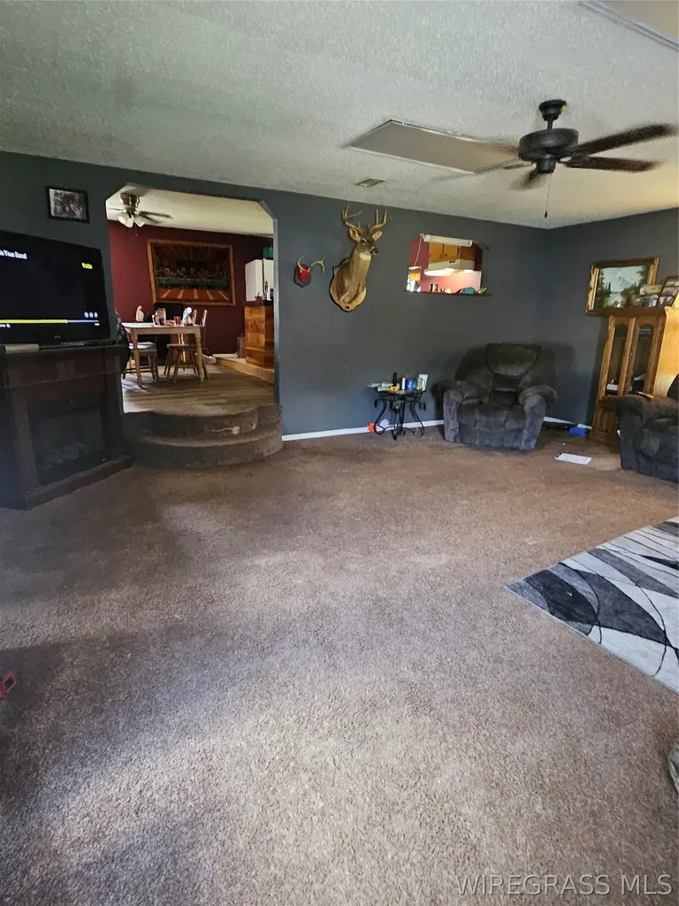 117 Buster Cowan Road Geneva AL 36340