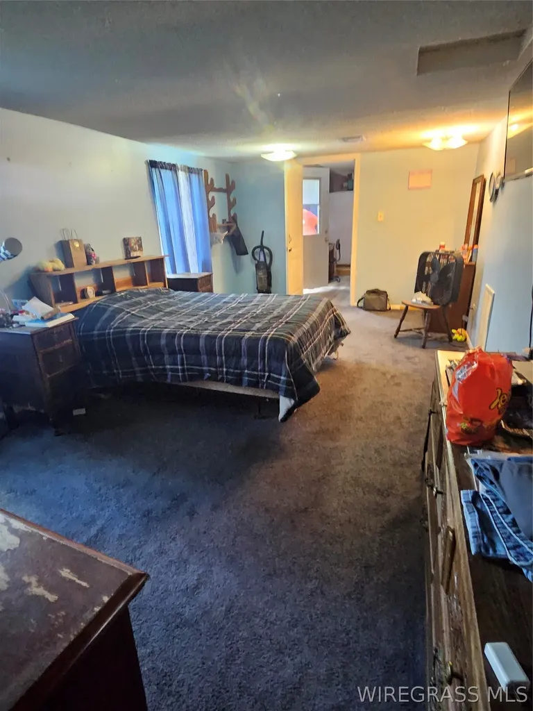 117 Buster Cowan Road Geneva AL 36340