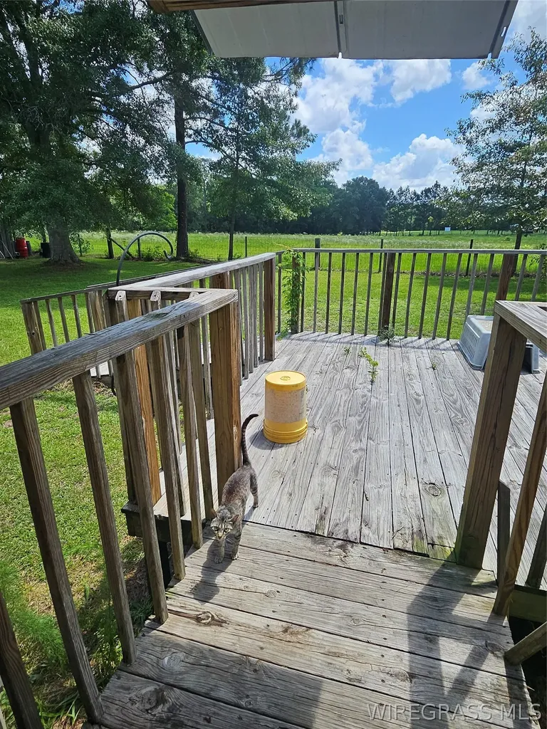 117 Buster Cowan Road Geneva AL 36340