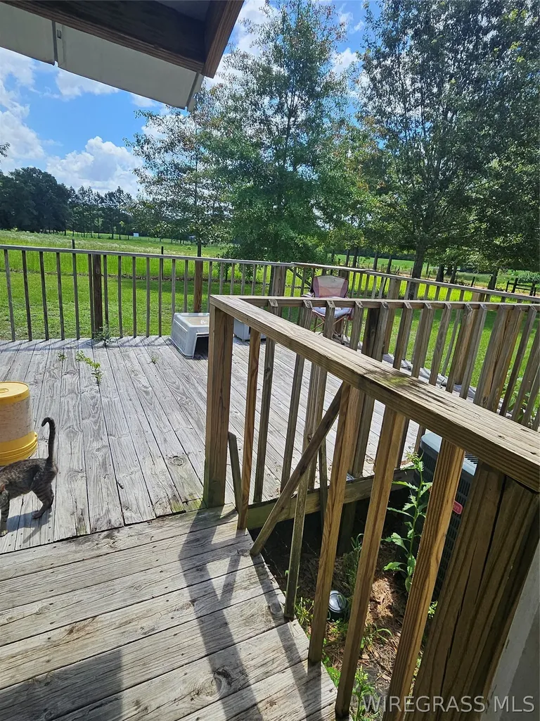 117 Buster Cowan Road Geneva AL 36340