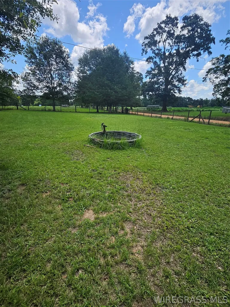 117 Buster Cowan Road Geneva AL 36340