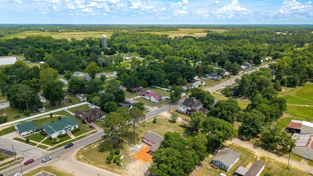 101 S Johnson Street Samson AL 36477