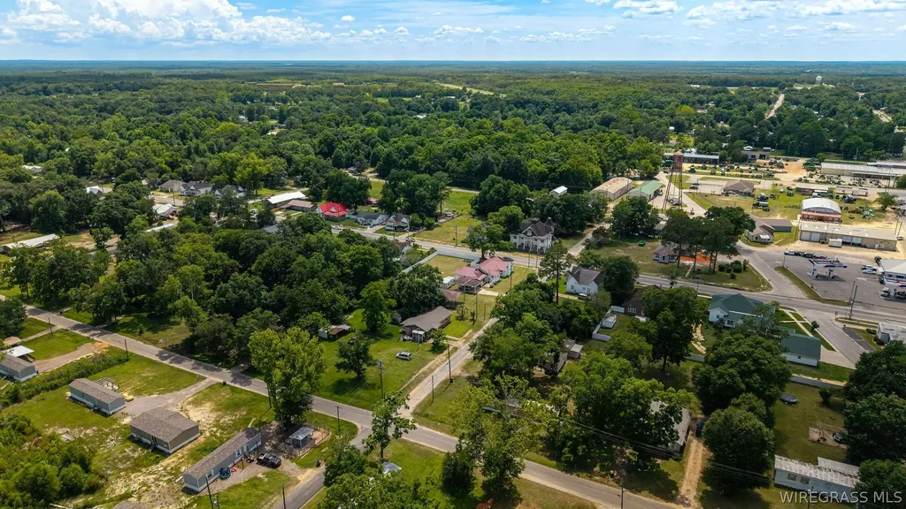 101 S Johnson Street Samson AL 36477