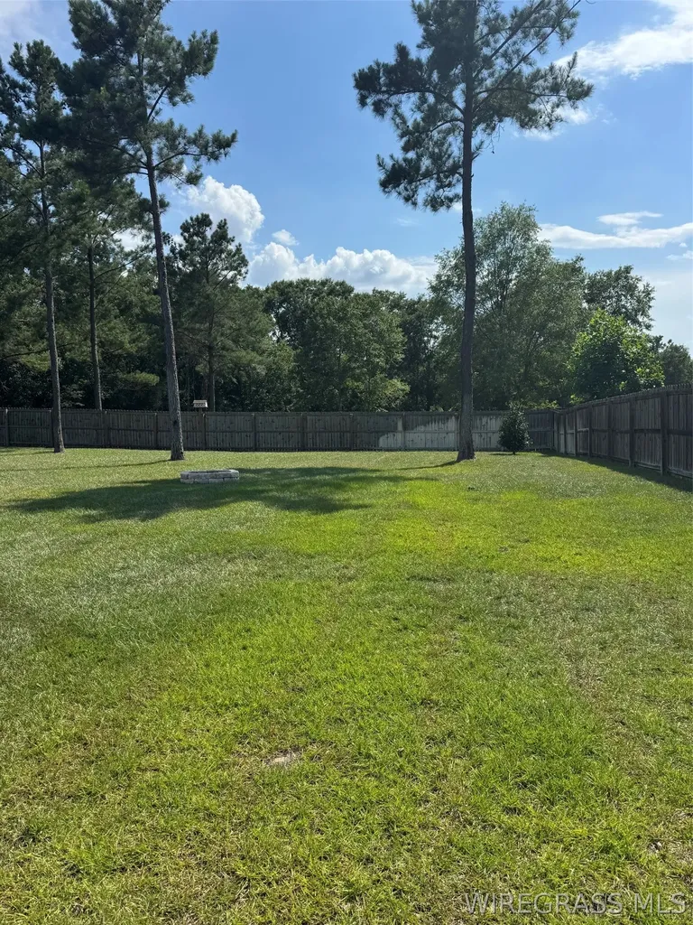 111 Archer Trail New Brockton AL 36351