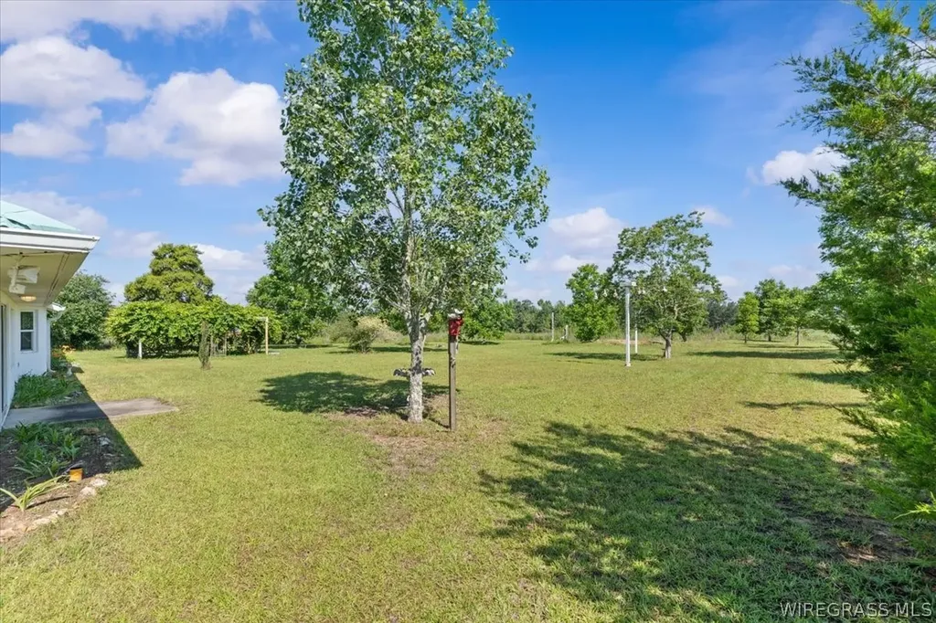 4617 County Road 643 Chancellor AL 36316