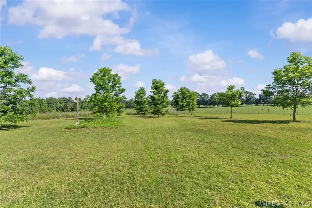 4617 County Road 643 Road Chancellor AL 36316
