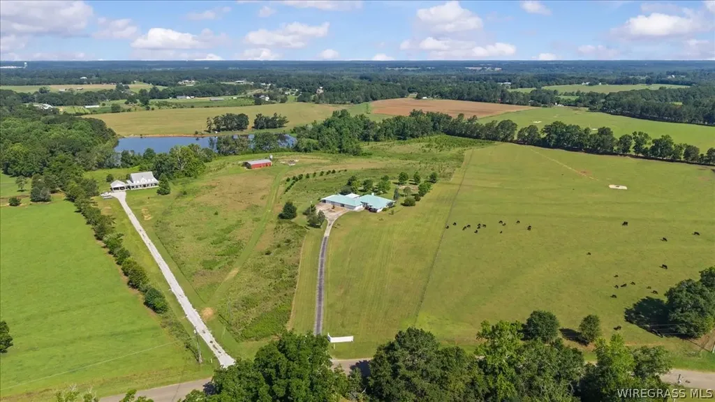 4617 County Road 643 Chancellor AL 36316