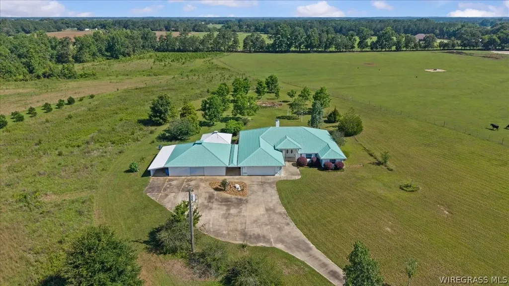 4617 County Road 643 Road Chancellor AL 36316