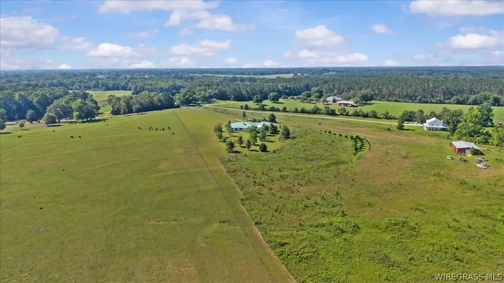 4617 County Road 643 Road Chancellor AL 36316