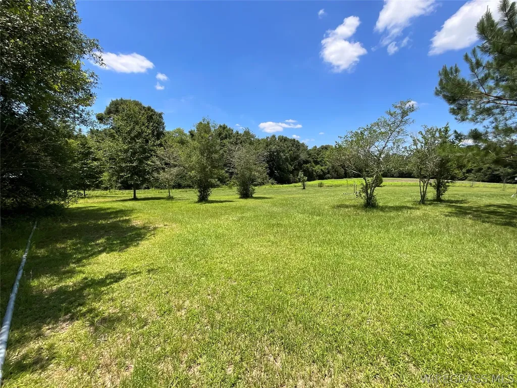 2912 County Road 1 Samson AL 36477