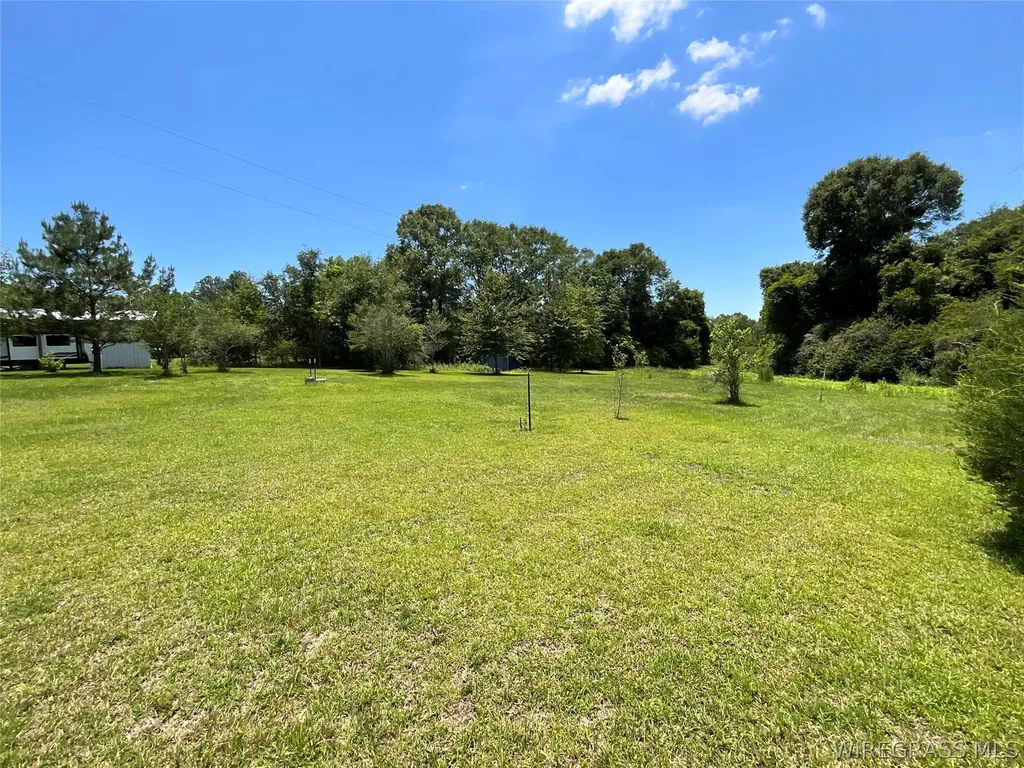 2912 County Road 1 Samson AL 36477