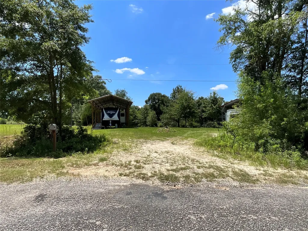 2912 County Road 1 Samson AL 36477