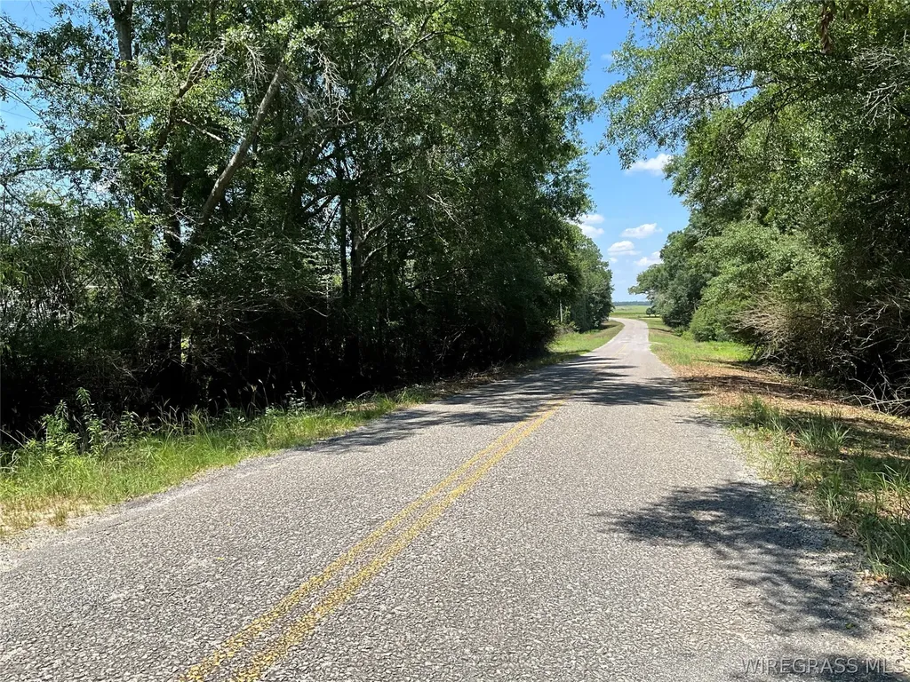 2912 County Road 1 Samson AL 36477