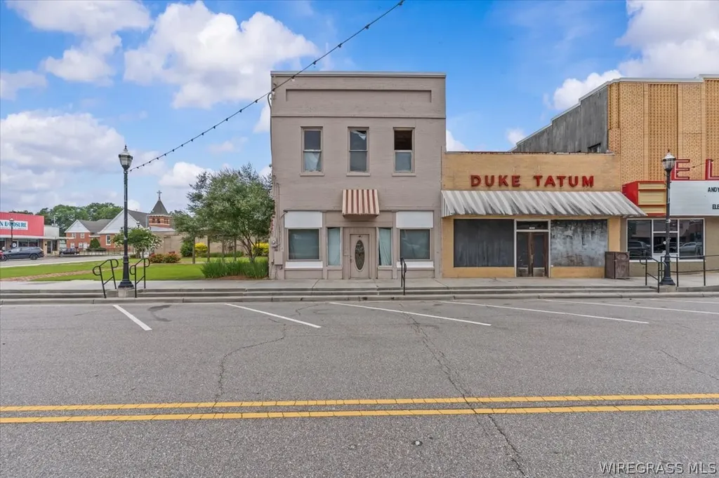 217 Court Avenue Elba AL 36323