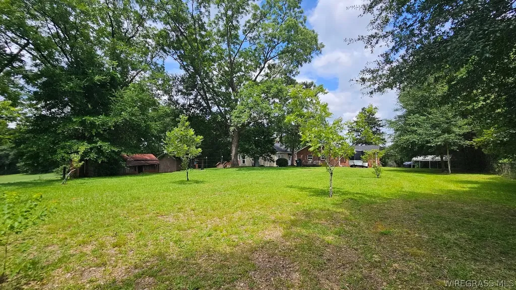 3672 Andrews Avenue Ozark AL 36360