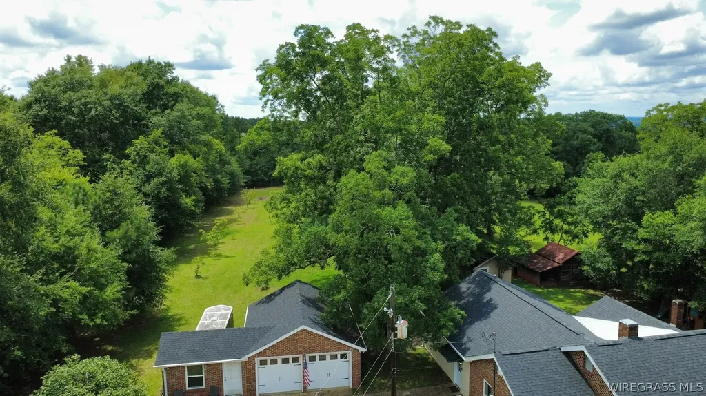 3672 Andrews Avenue Ozark AL 36360