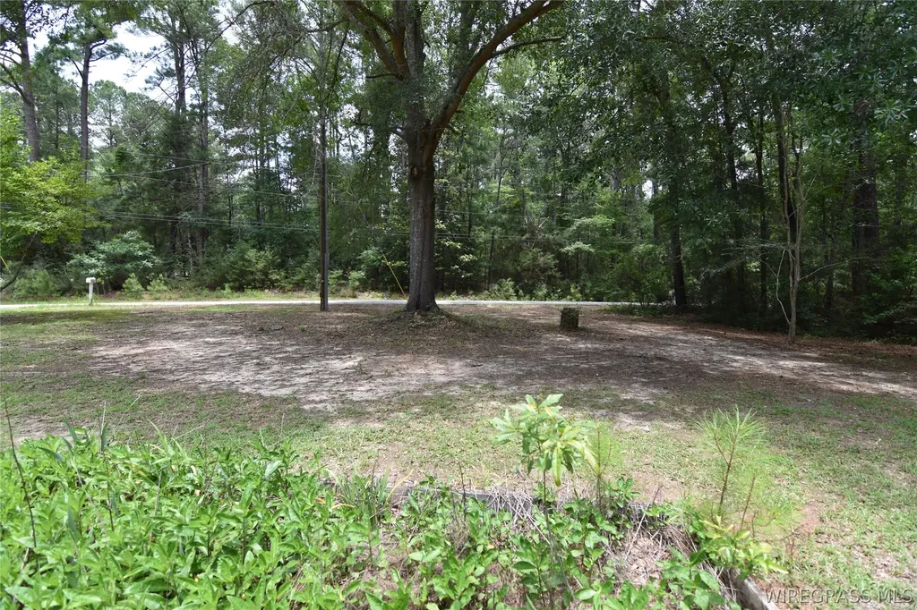 233 Rebecca Lane Ozark AL 36360