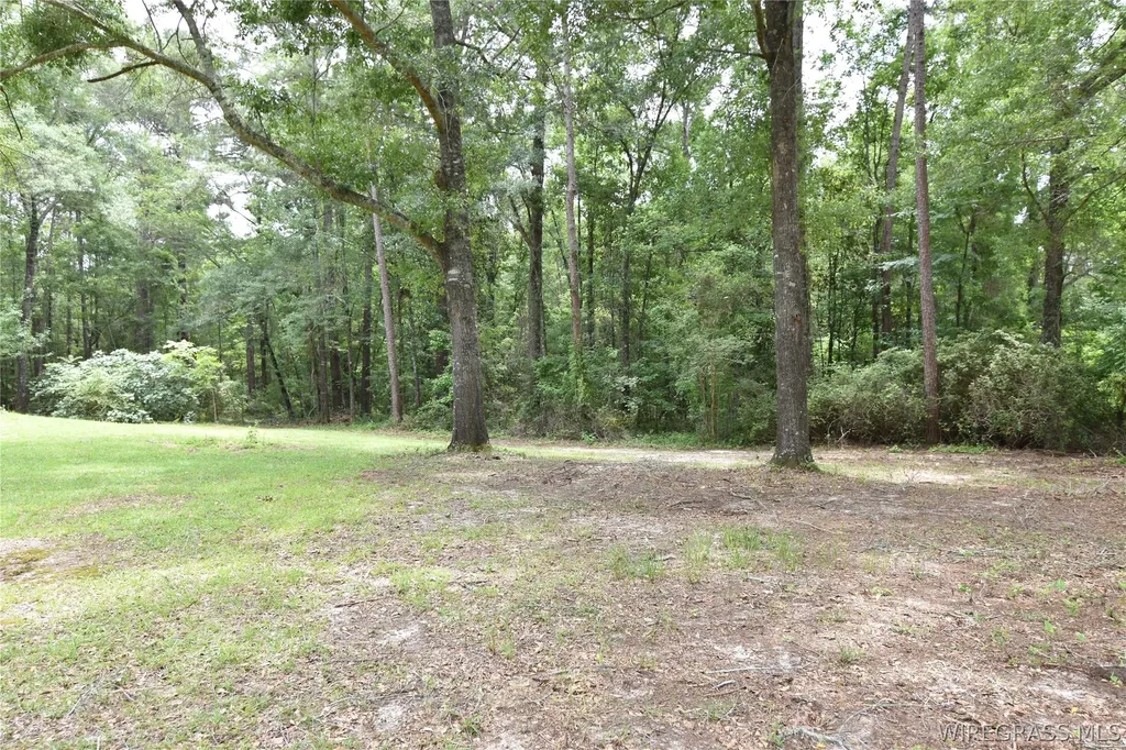 233 Rebecca Lane Ozark AL 36360
