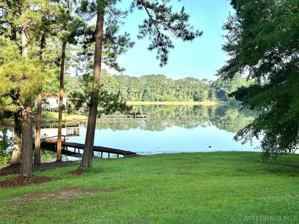 510 Windsor Lake Road Chancellor AL 36316