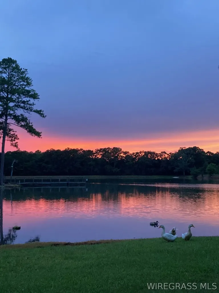 510 Windsor Lake Road Chancellor AL 36316