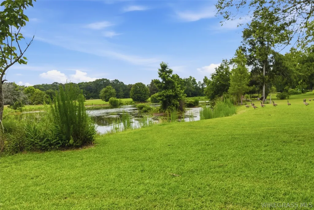 208 Thornberry Place Ashford AL 36312