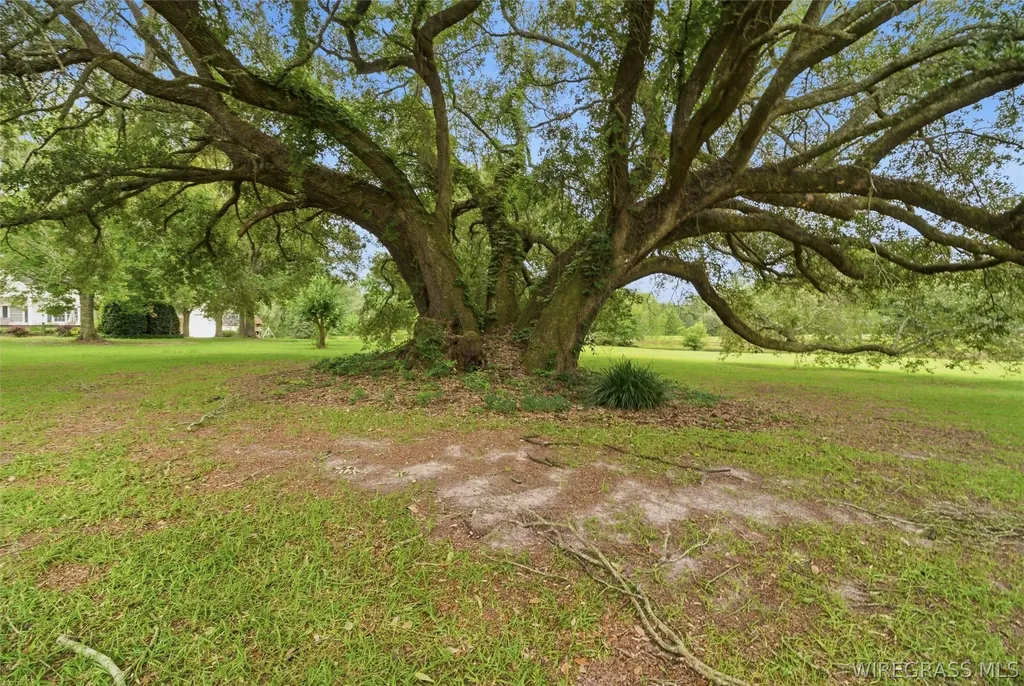 208 Thornberry Place Ashford AL 36312