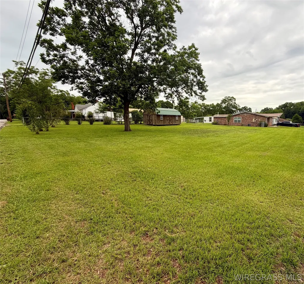 309 Pine Street Brundidge AL 36010