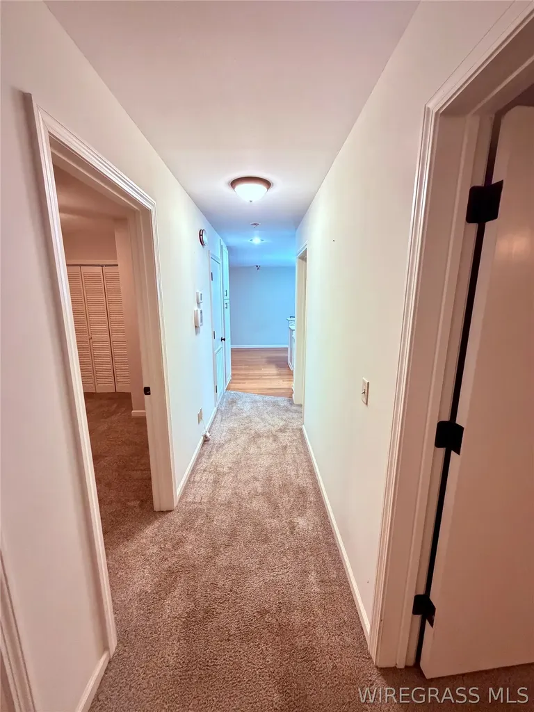 309 Pine Street Brundidge AL 36010