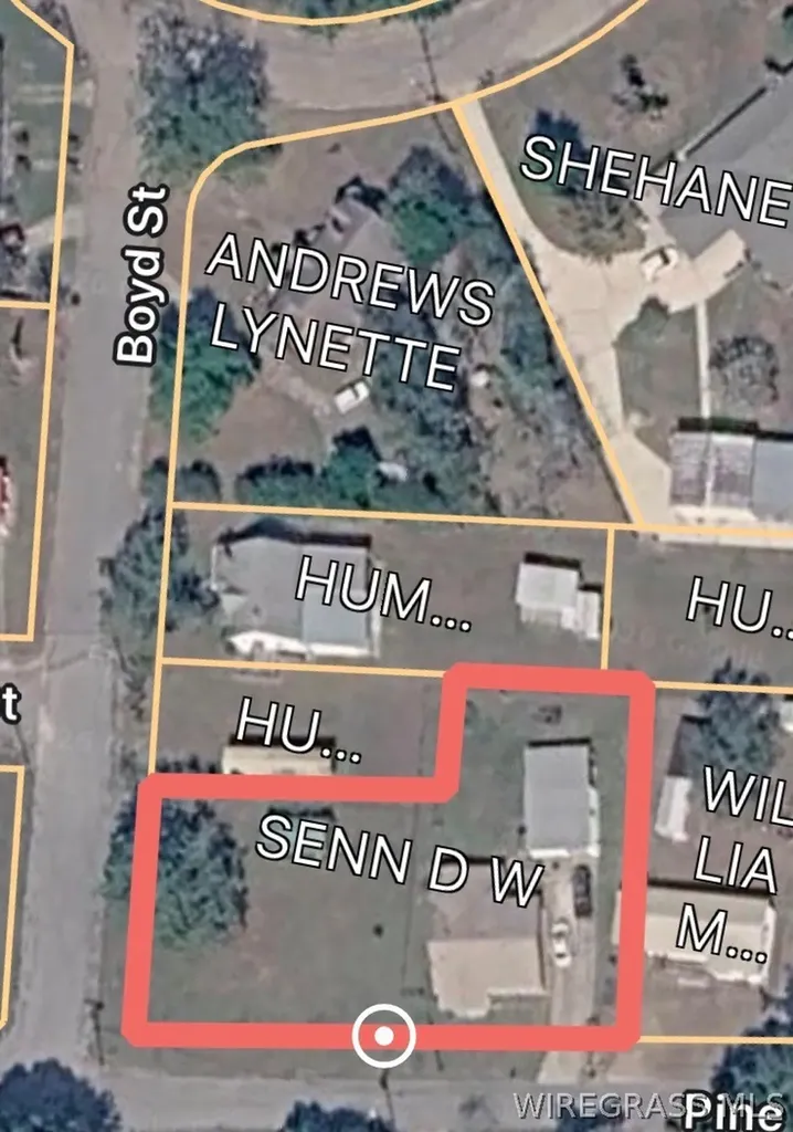 309 Pine Street Brundidge AL 36010
