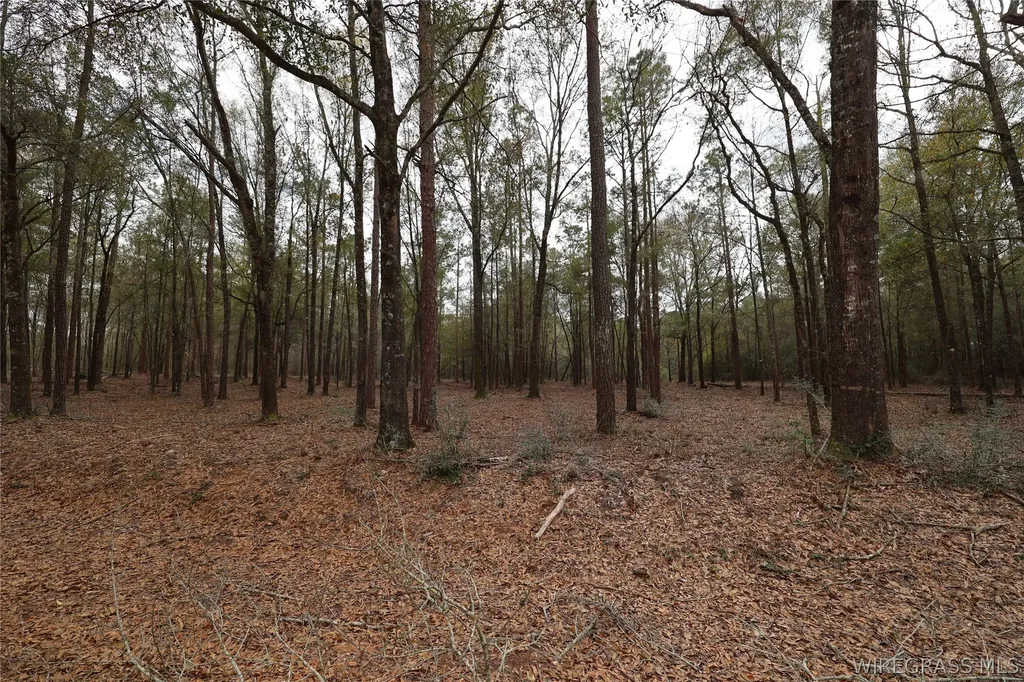 2024 County Road 156 Enterprise AL 36330