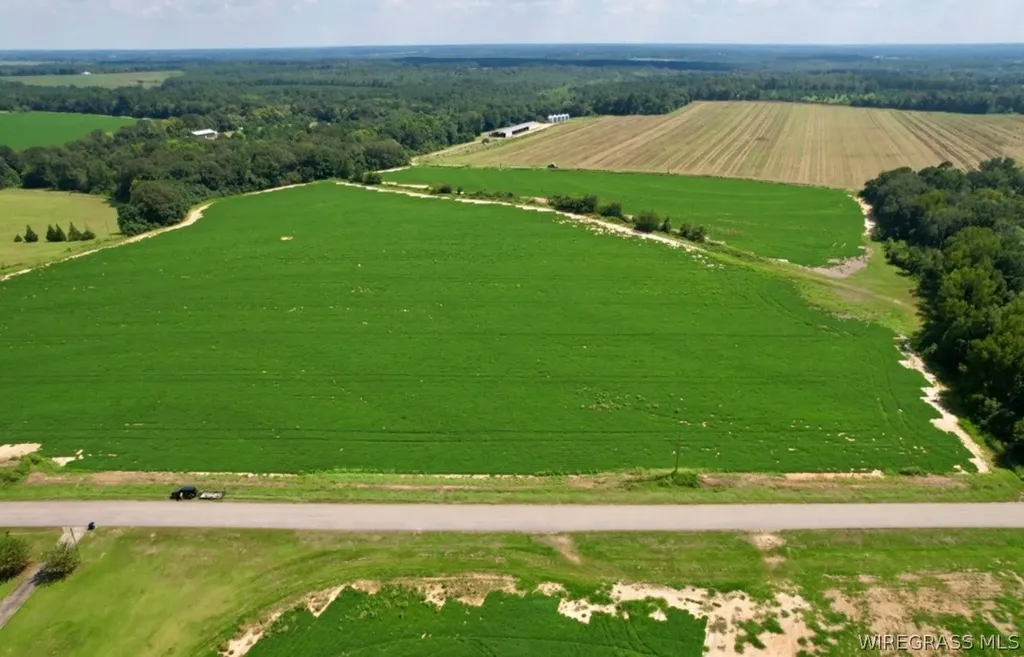 0 Judge Logue Road Newton AL 36352