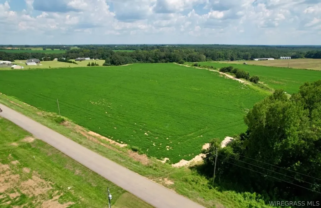 0 Judge Logue Road Newton AL 36352