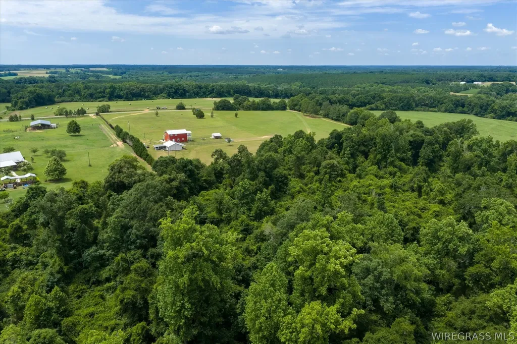 2639 County Road 6 Headland AL 36345