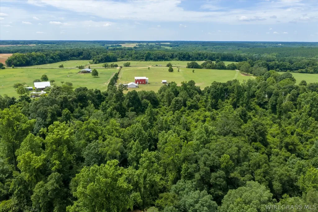 2639 County Road 6 Headland AL 36345
