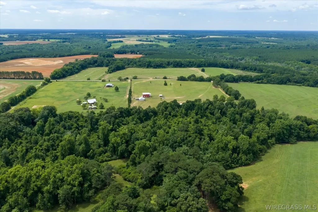 2639 County Road 6 Headland AL 36345