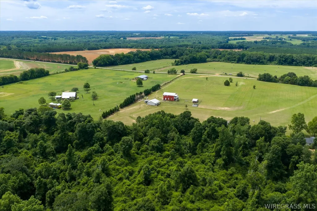 2639 County Road 6 Headland AL 36345