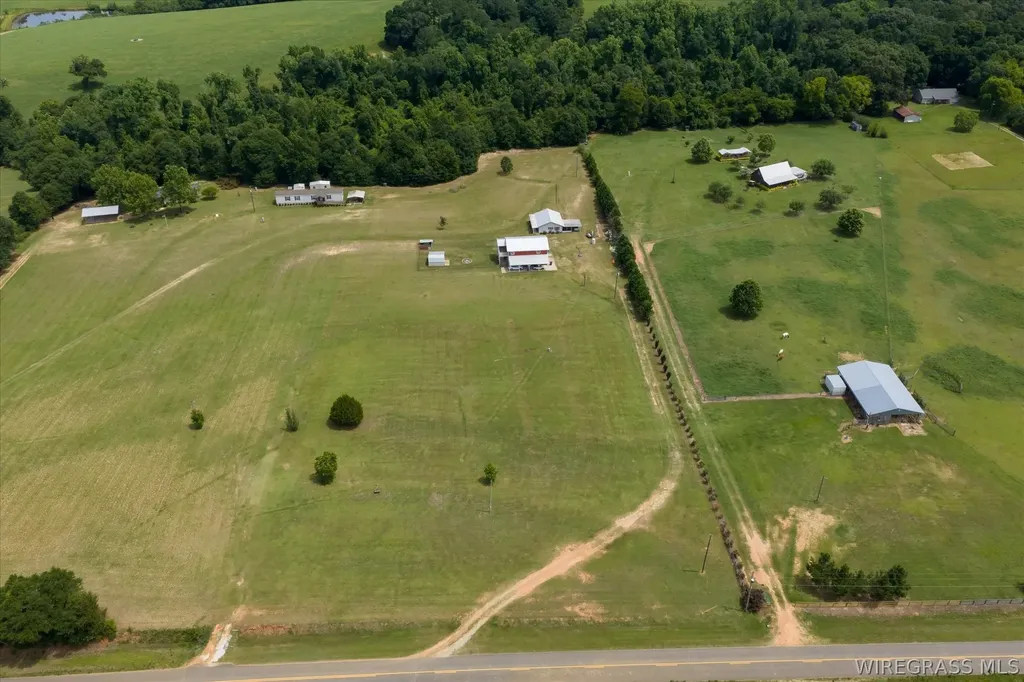 2639 County Road 6 Headland AL 36345