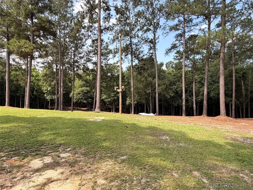 139 County Road 2221 Troy AL 36079