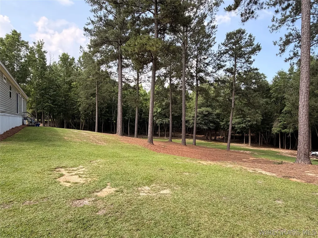 139 County Road 2221 Troy AL 36079