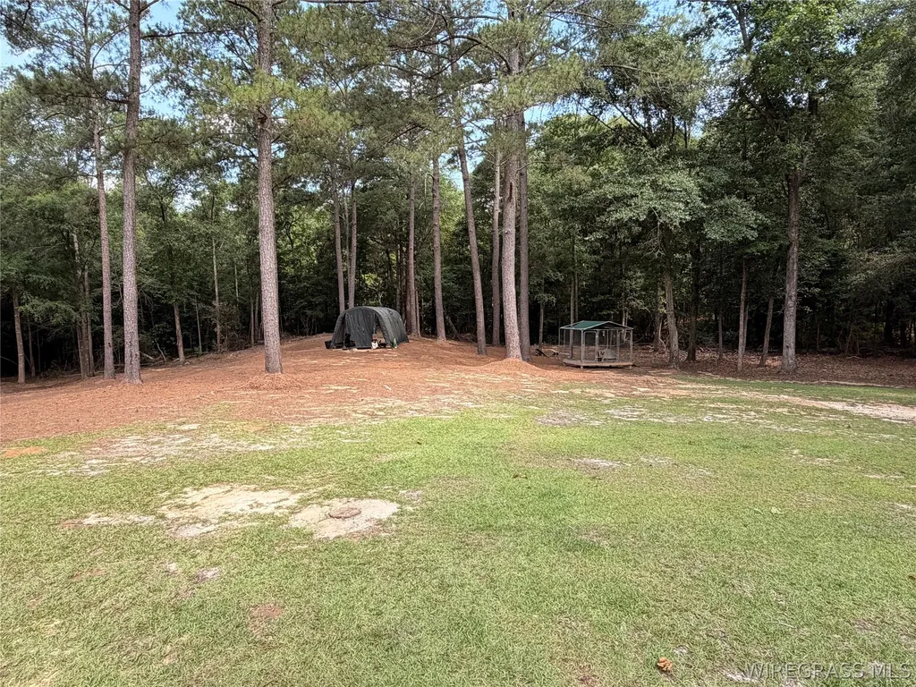 139 County Road 2221 Troy AL 36079