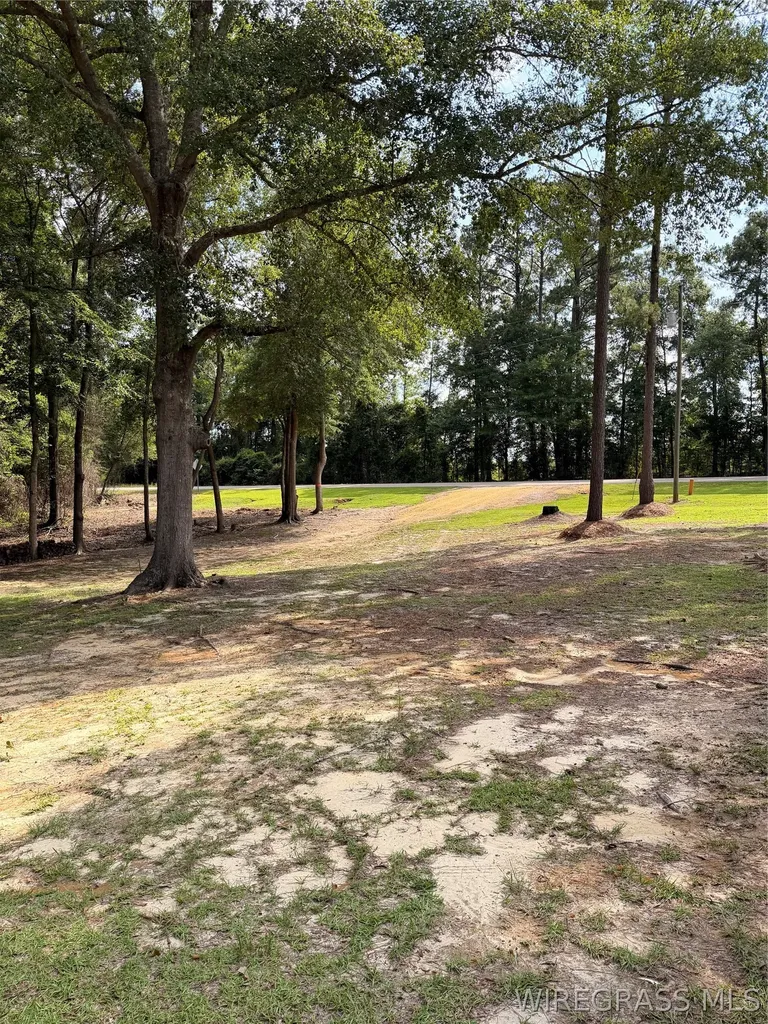 139 County Road 2221 Troy AL 36079
