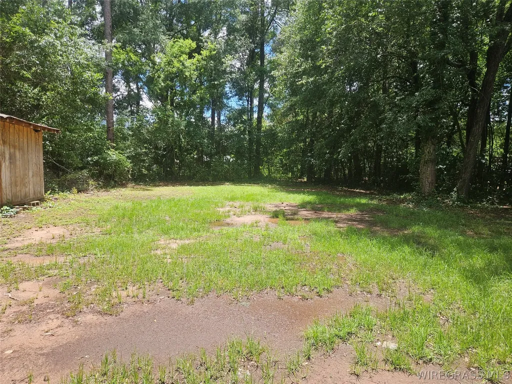 2504 Linda Lane E Dothan AL 36303