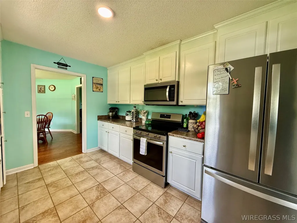 344 Lakeview Drive Hartford AL 36344