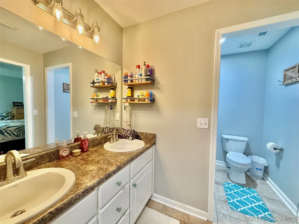 344 Lakeview Drive Hartford AL 36344