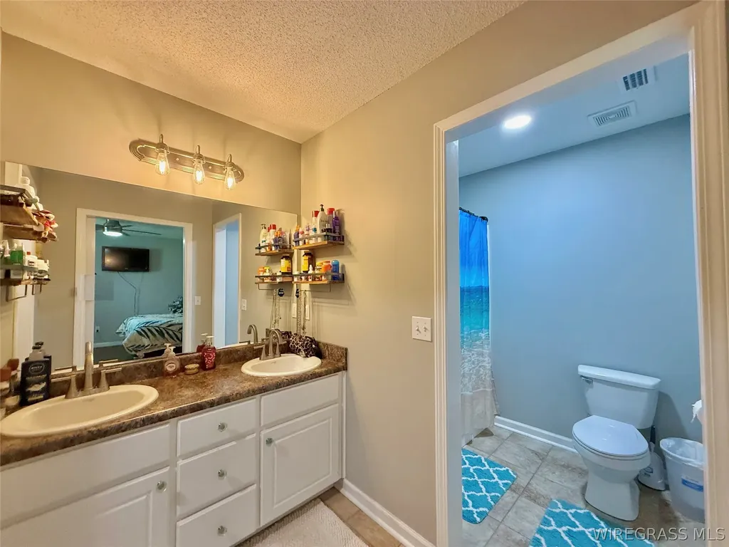 344 Lakeview Drive Hartford AL 36344