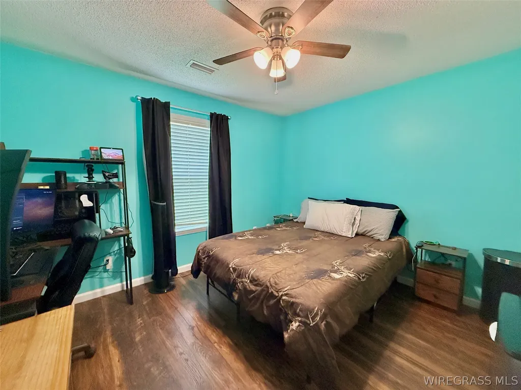 344 Lakeview Drive Hartford AL 36344