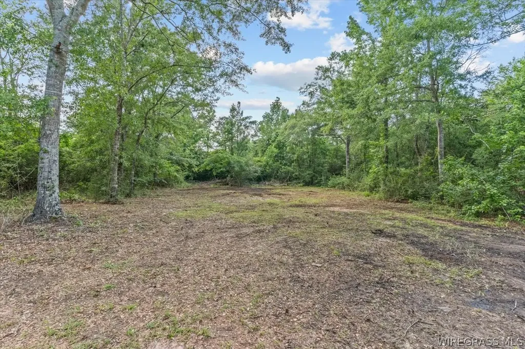 2893 County Road 709 Enterprise AL 36330