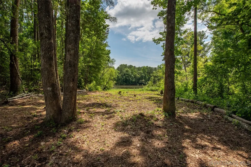 21655 Highway 189 Elba AL 36323