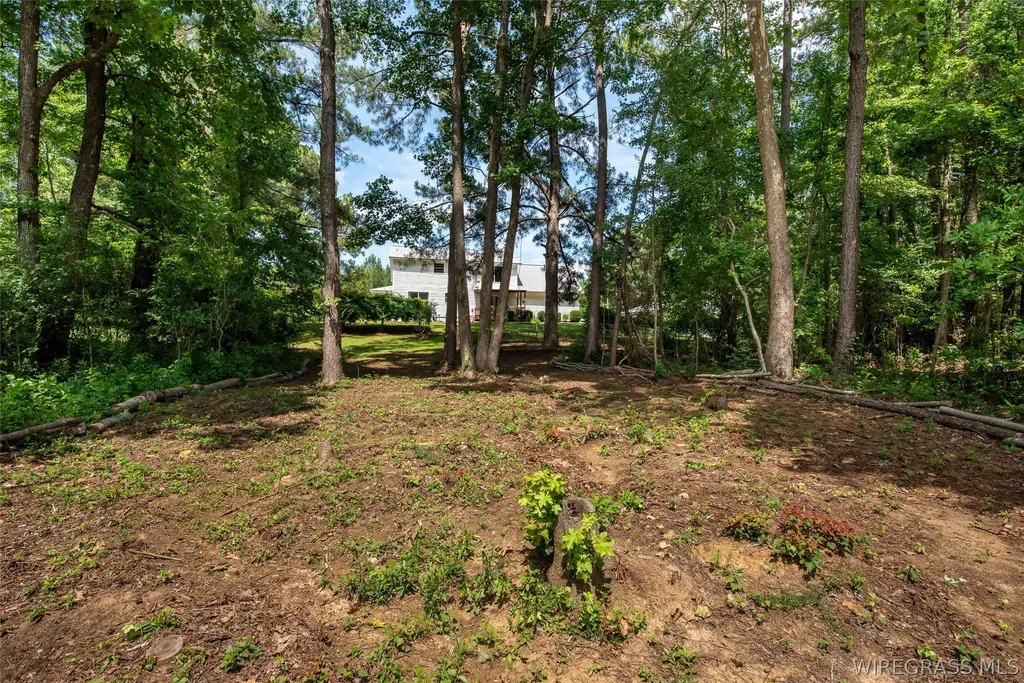 21655 Highway 189 Elba AL 36323